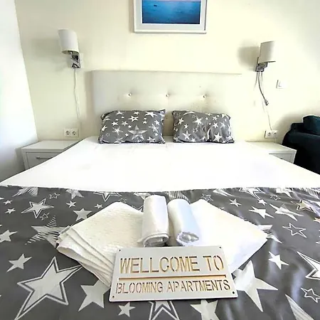 Blooming By The Sea - Cu Frontala Spre Mare Hotel Constanta