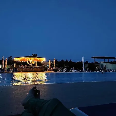 Blooming By The Sea - Cu Frontala Spre Mare Constanta