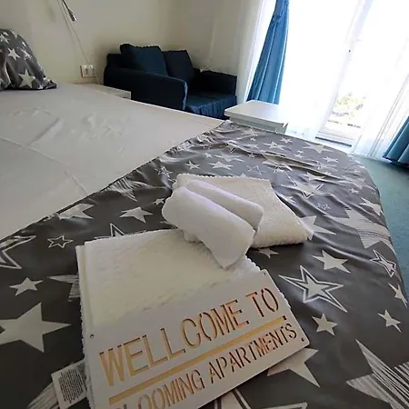 Hotel Blooming By The Sea - Cu Frontala Spre Mare Constanta